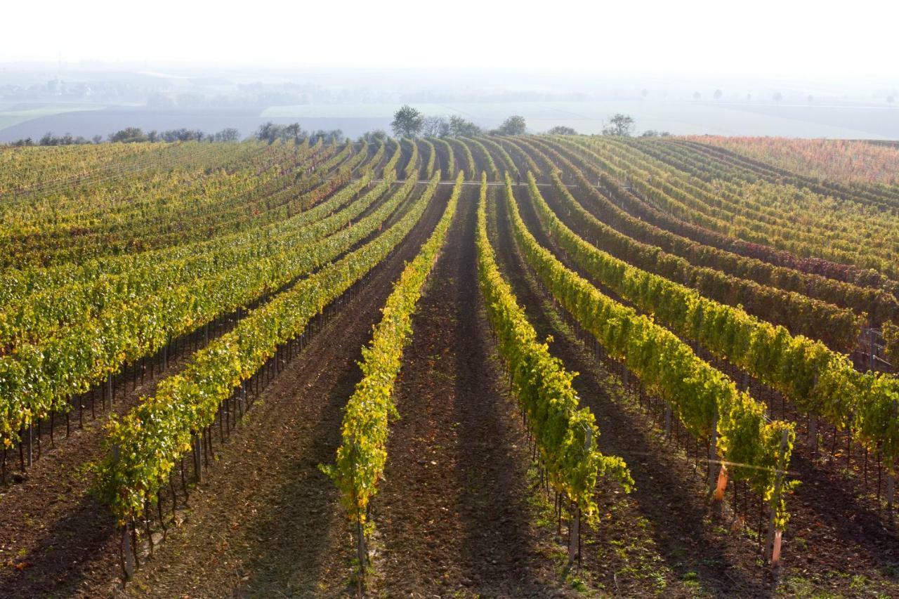 Weingut Breitenfelder Retz Exterior foto